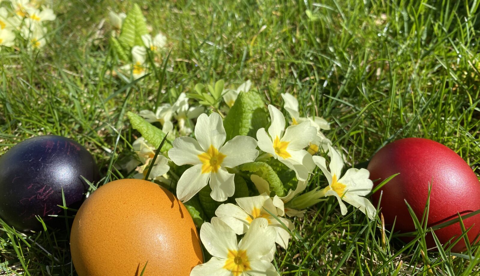 Illustration: Frohe Ostern 2024  – begleitet von Finsternissen - Astrologie-Blog