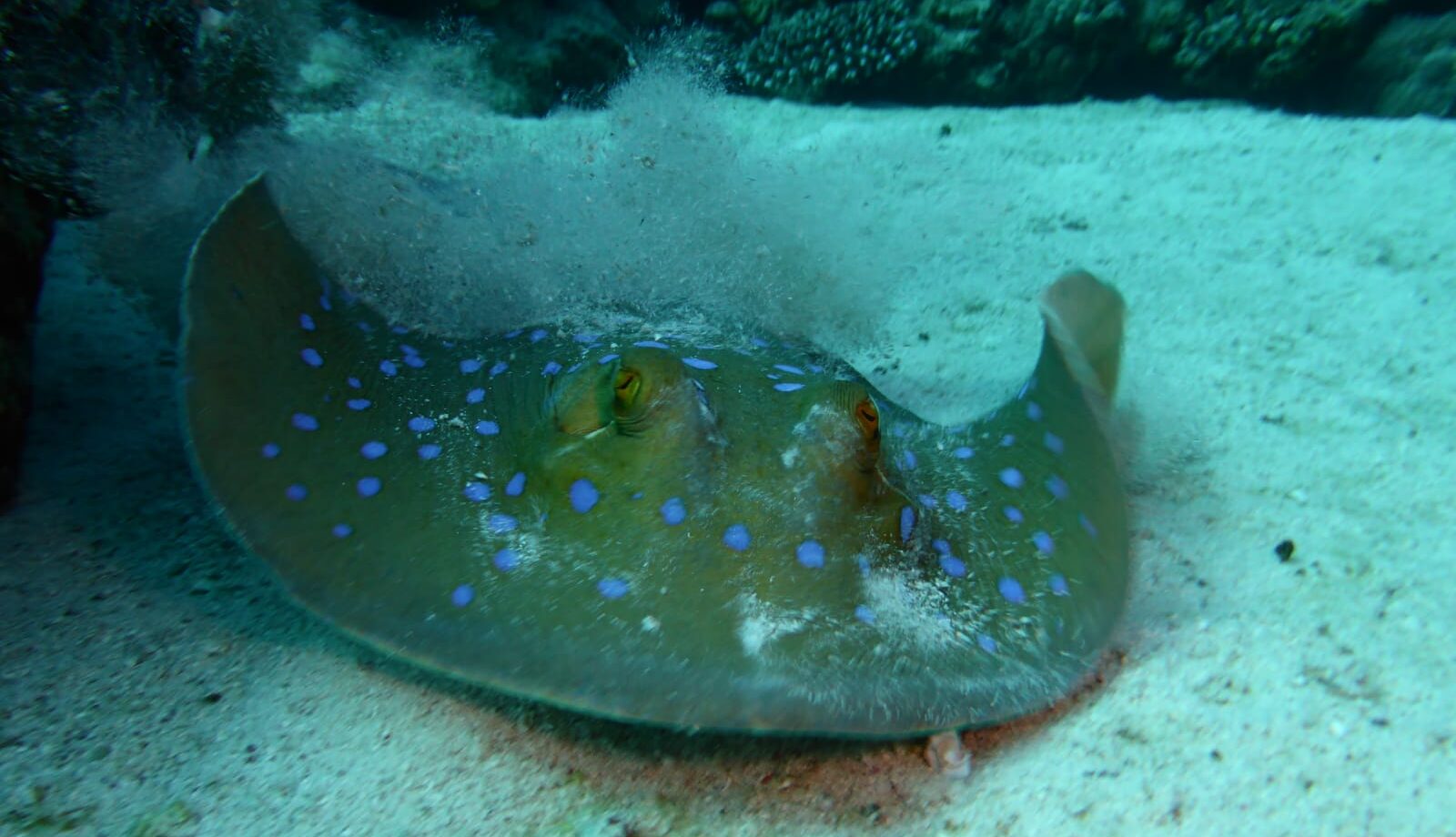 Illustration: Jupiter-Uranus – Schnupperseminar 25.4.2024 - Astrologie-Blog