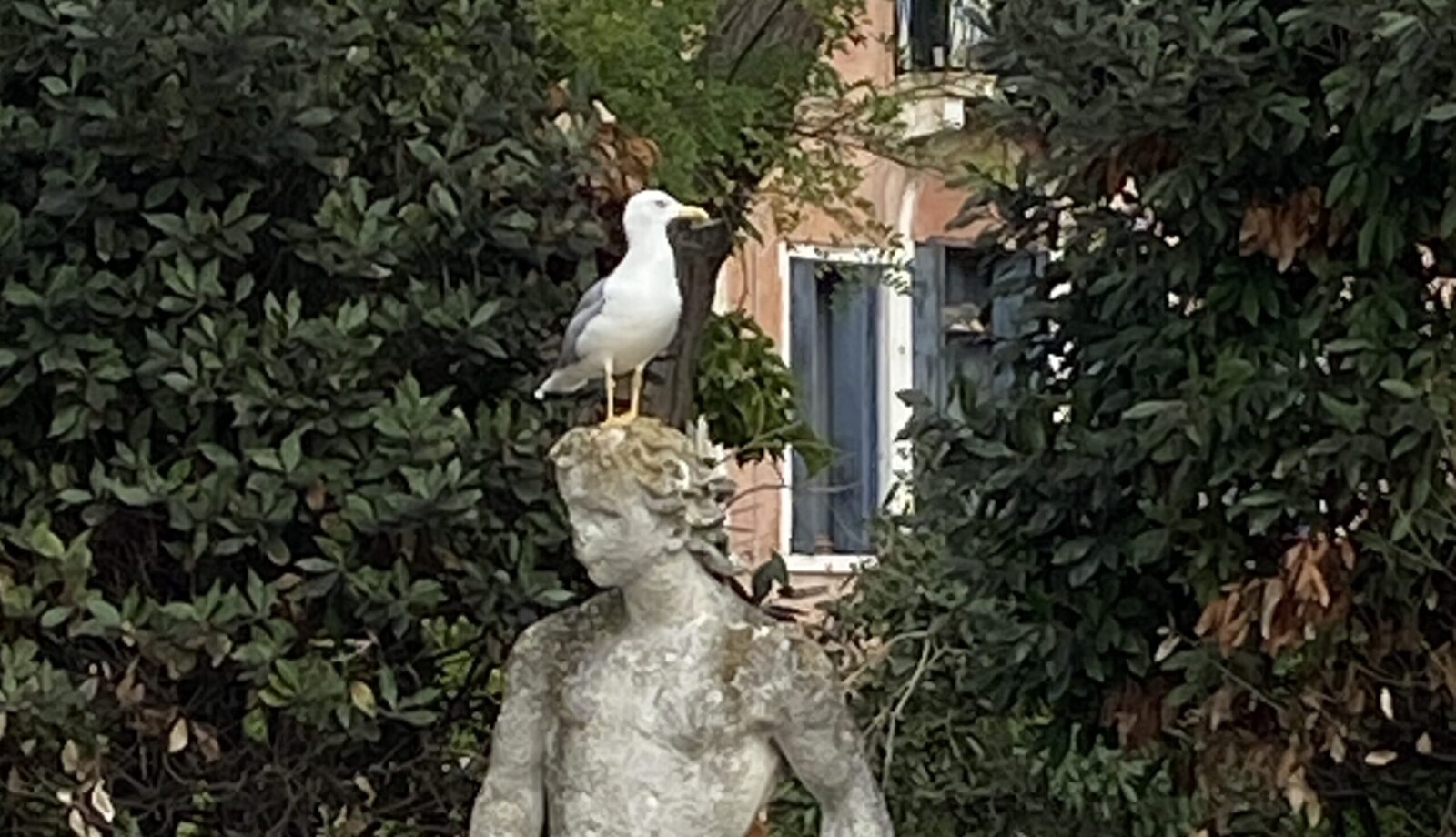 Illustration: Zum Neumond vom 8. Mai 2024 Teamwork mit Jupiter-Uranus - Astrologie-Blog