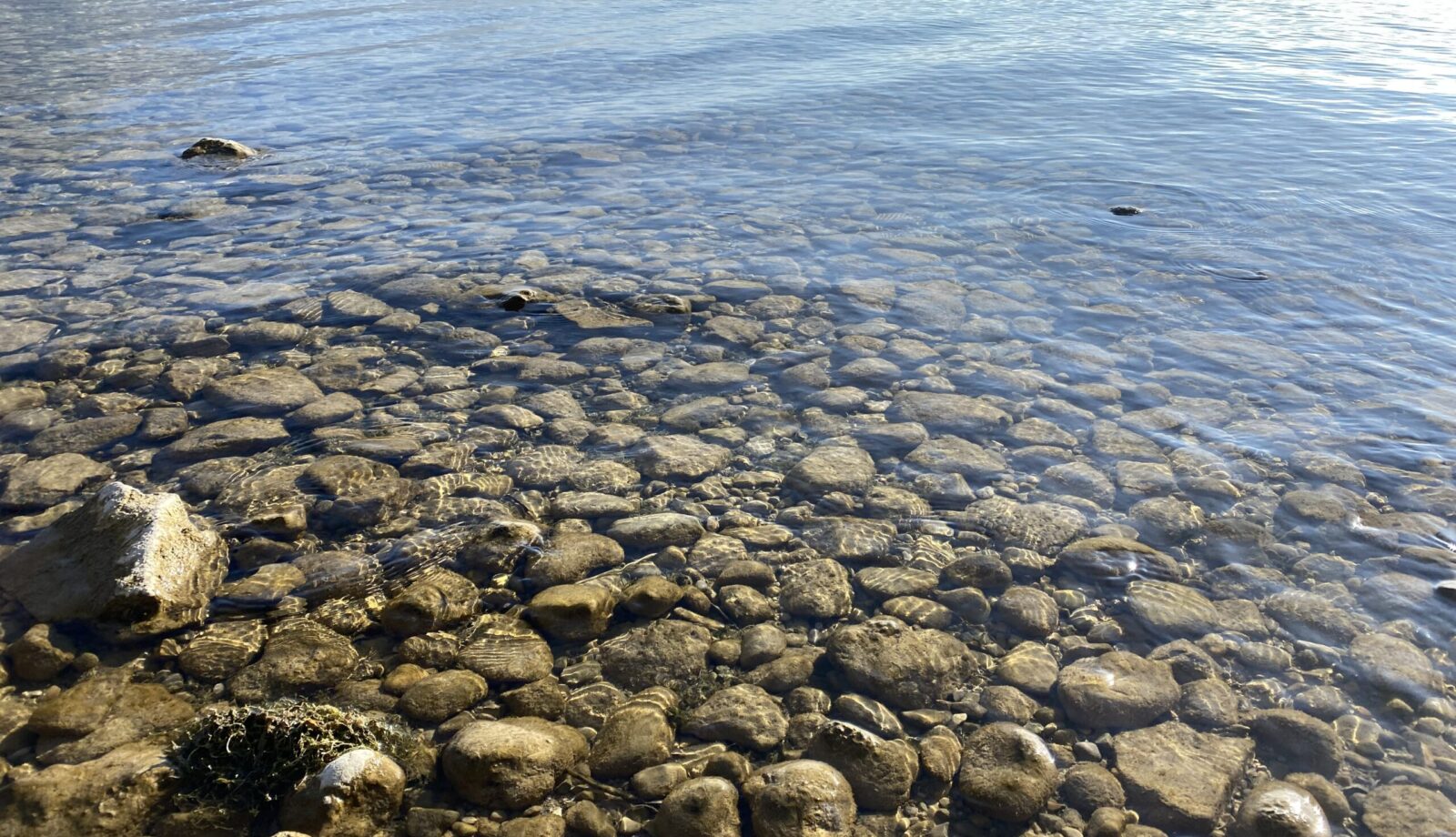 Illustration: Neumond in den Fischen am 28.2.2025 - Astrologie-Blog