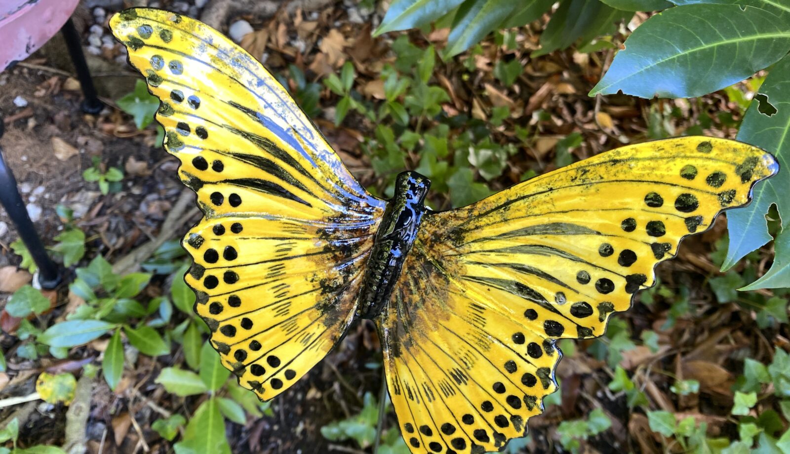 Illustration: NEUMOND im Skorpion 20.11.2025 - Astrologie-Blog