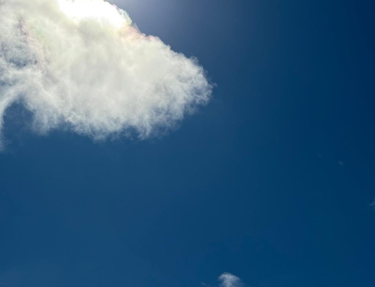 Illustration: Ein freier Blick – Look up – März 2026 - Astrologie-Blog